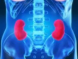 Kidney Disease Diets