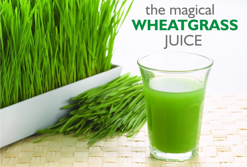 The Magical Wheatgrass Juice!