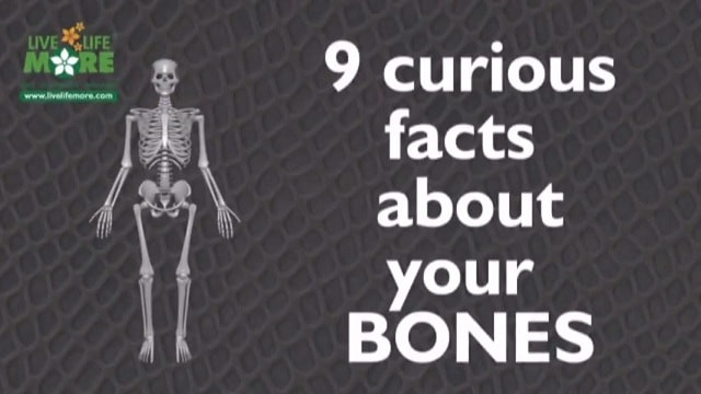 9 Curious & Interesting Bones Facts of Our Human Body