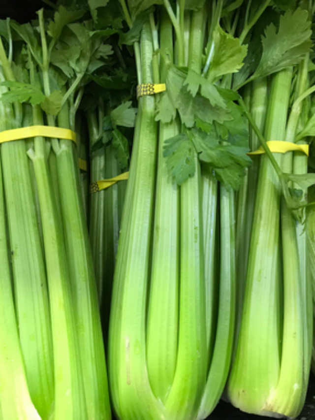 7 Healthy Benefits of Adding Celery to Your Diet